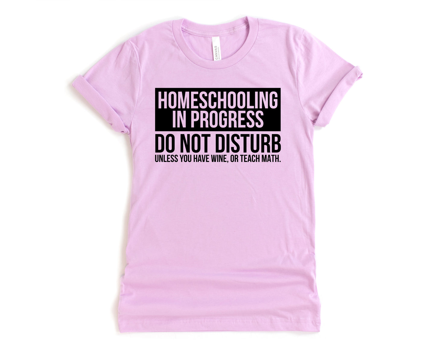 Homeschooling in Progress